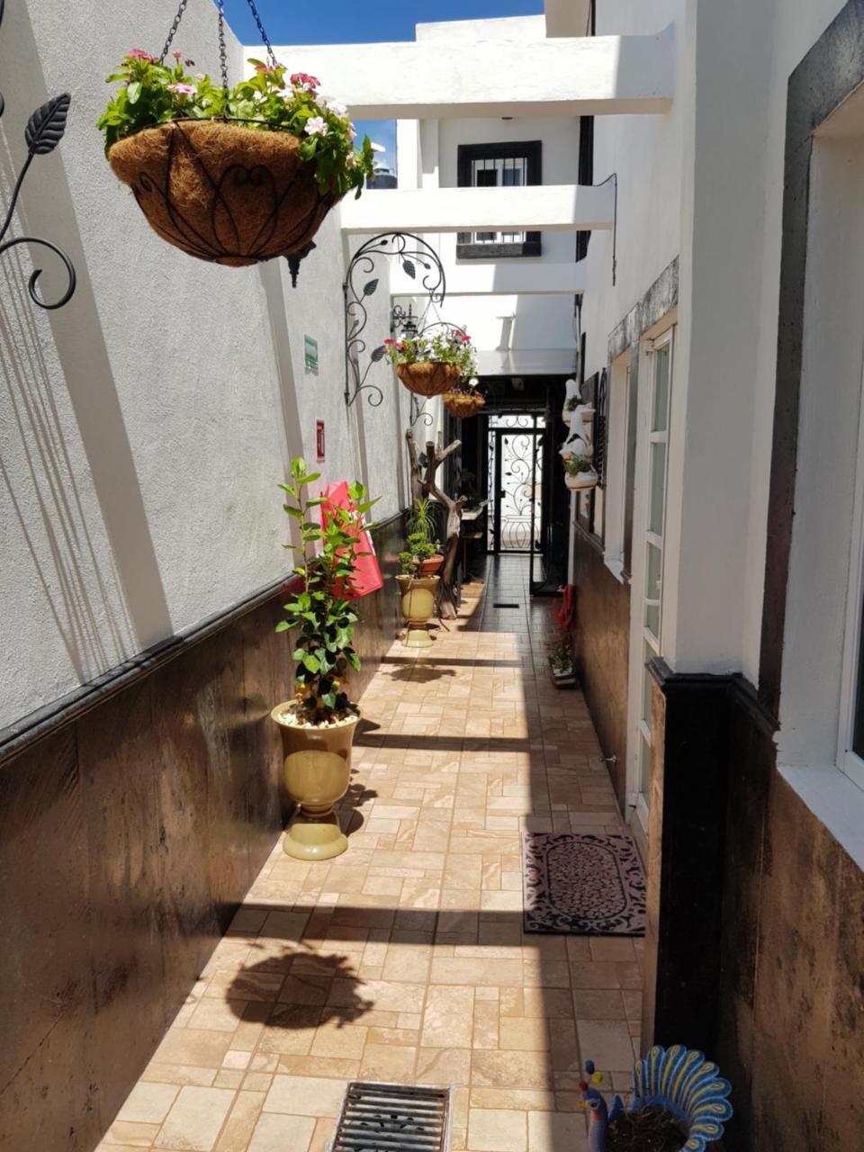 Hotel Tres Sofias Querétaro Dış mekan fotoğraf